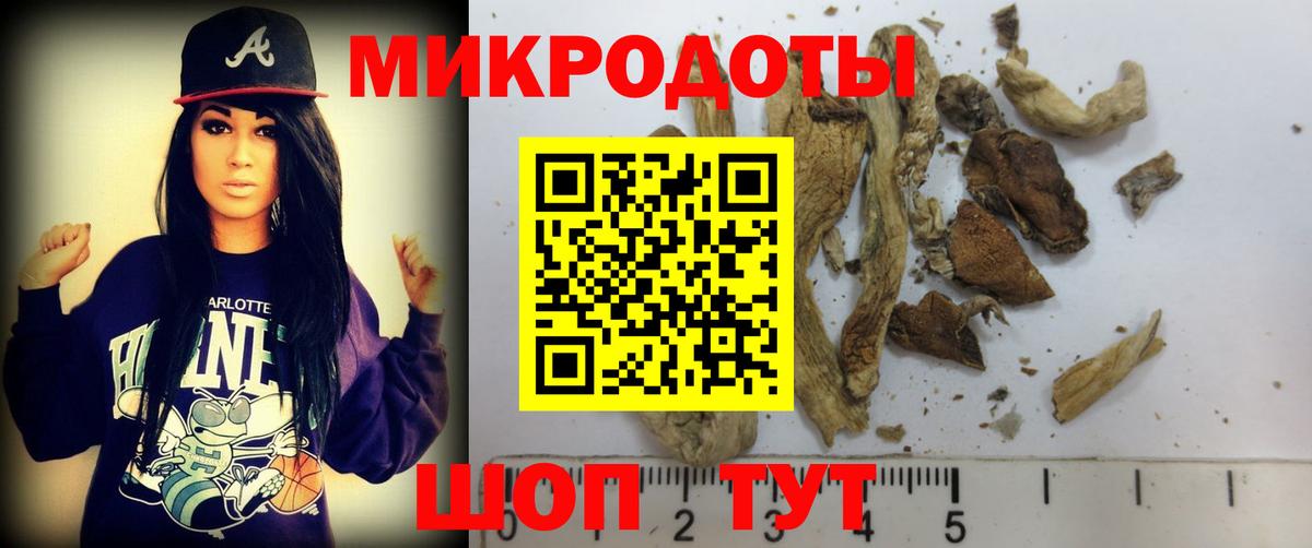 Галлюциногенные грибы мицелий  Вход с VPN  Канск 